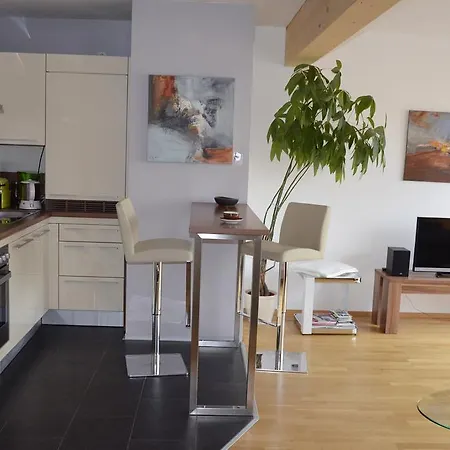Apartment Mit Grossem Balkon Graz